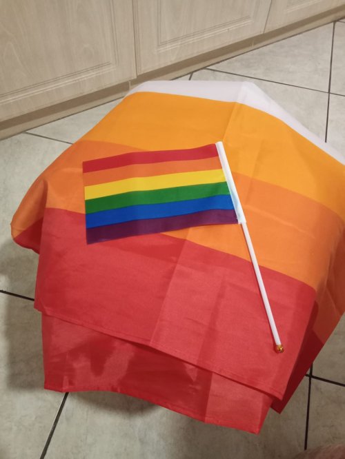 Pride Small Hand Flags