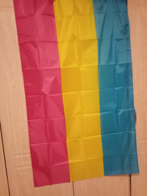 Pride Pan-Sexual Flag 